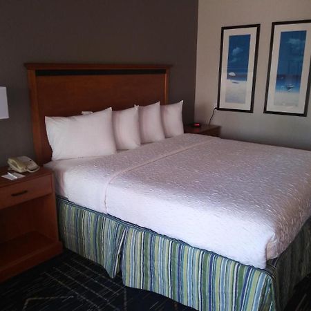 Surestay Plus Hotel By Best Western Clearwater Central מראה חיצוני תמונה