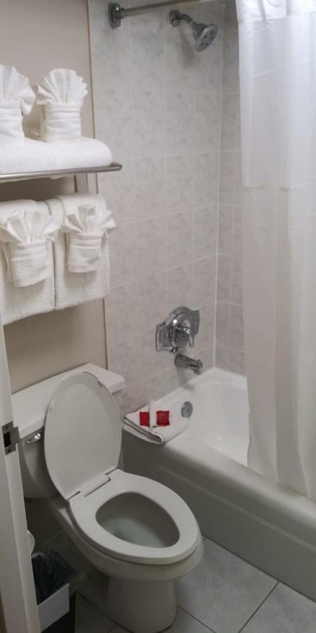 Surestay Plus Hotel By Best Western Clearwater Central מראה חיצוני תמונה
