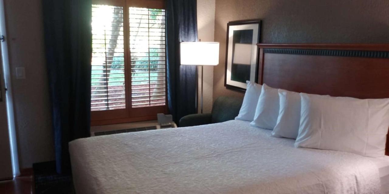 Surestay Plus Hotel By Best Western Clearwater Central מראה חיצוני תמונה