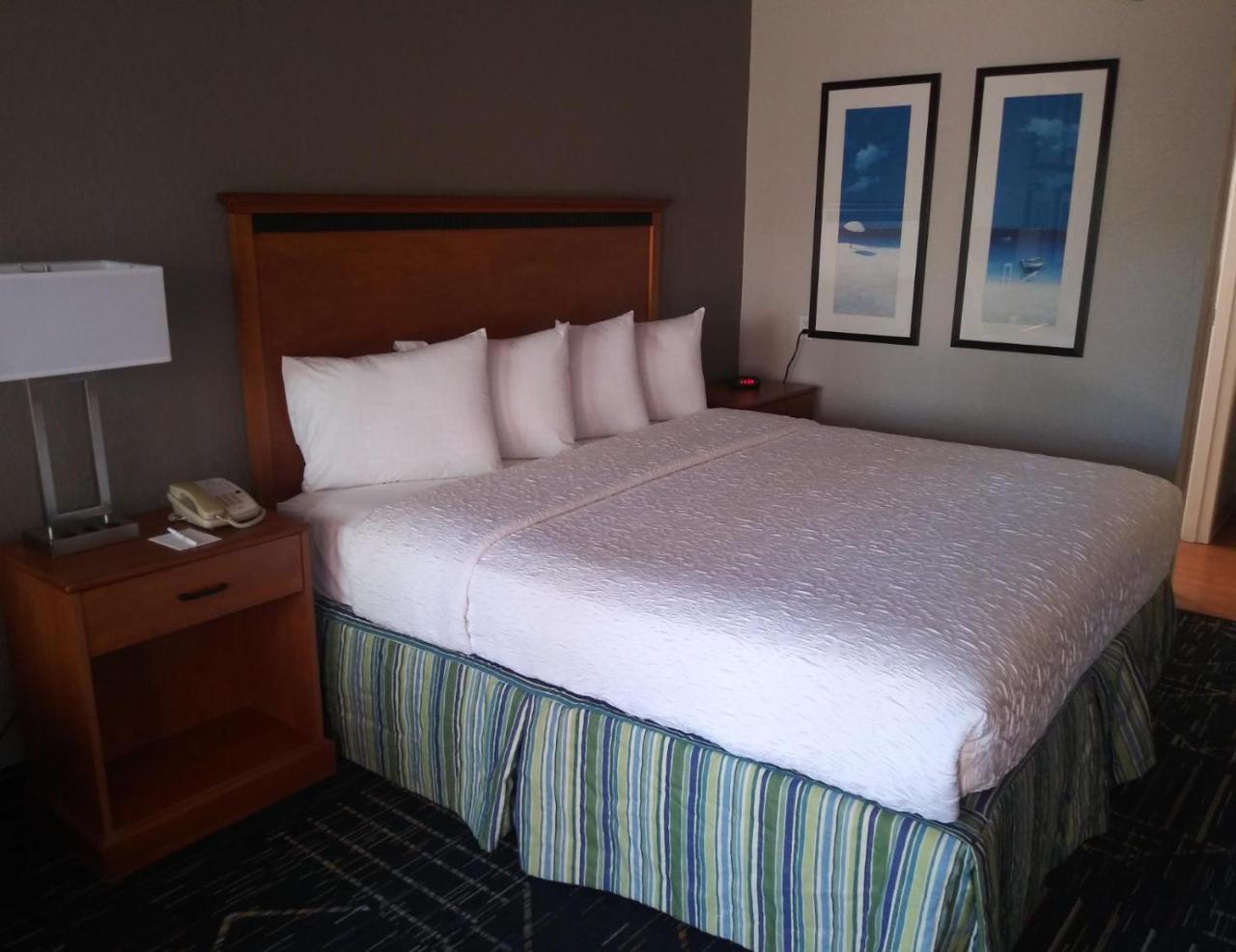 Surestay Plus Hotel By Best Western Clearwater Central מראה חיצוני תמונה